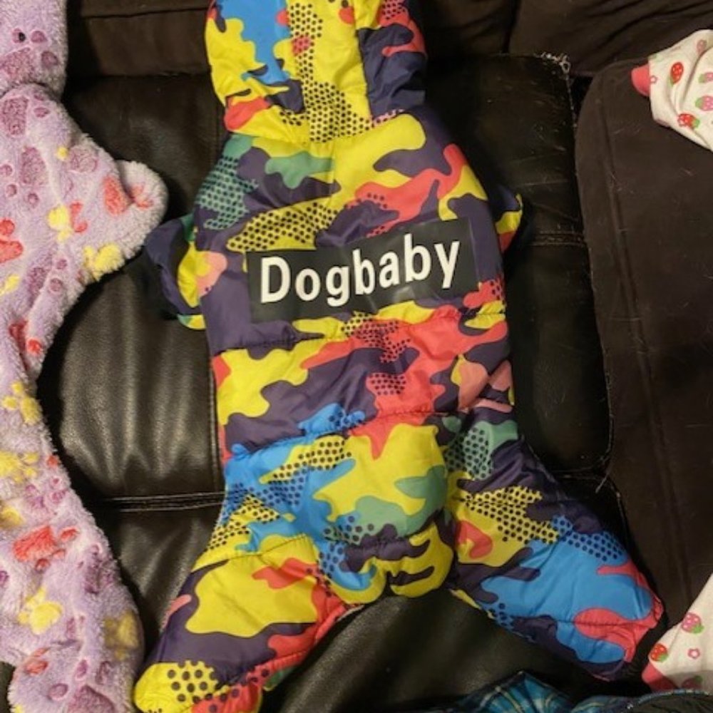 Dog snowsuit